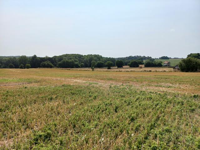 Vente Terrain 322 m2 Pleudihen sur Rance