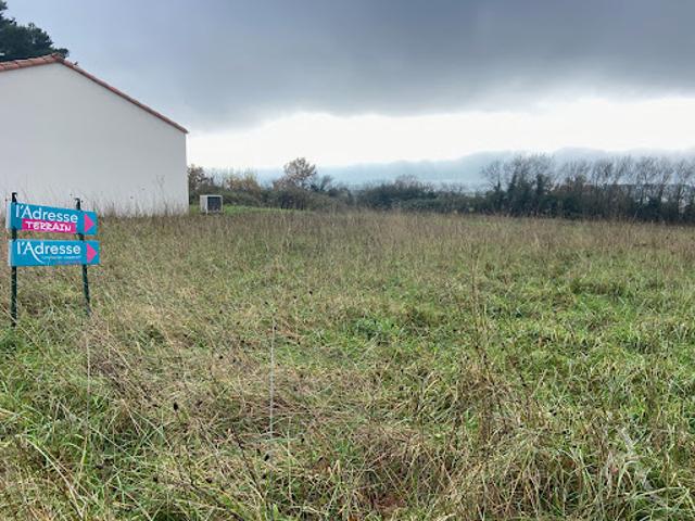 Vente Terrain 325 m2 Chavagnes en Paillers