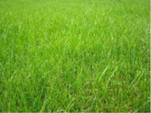 Vente Terrain 325 m2 Hédé