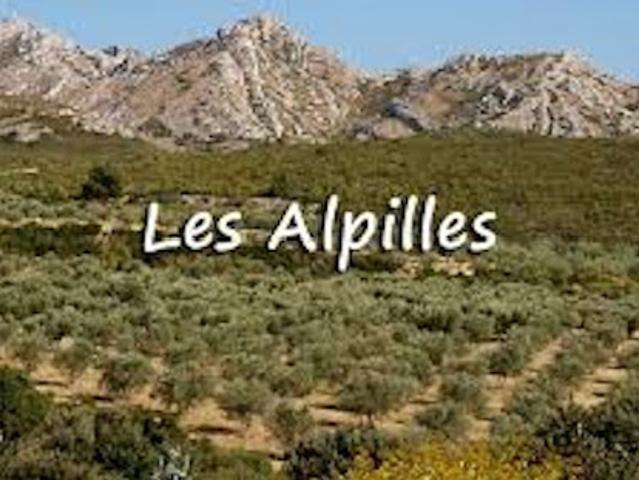 Vente Terrain 325 m2 Sénas