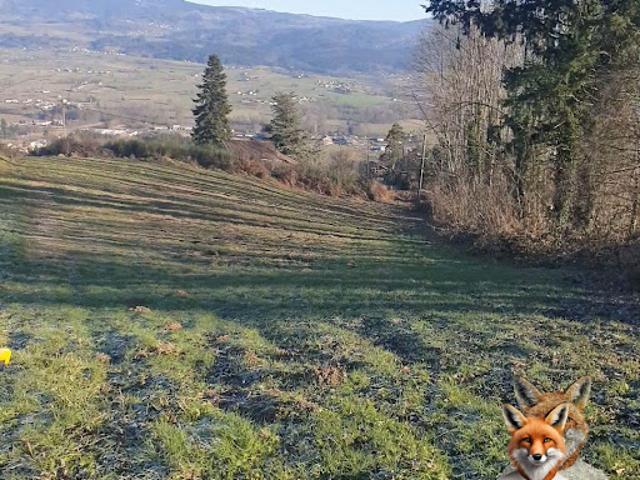 Vente Terrain 3263 m2 Saint Ferréol des Côtes