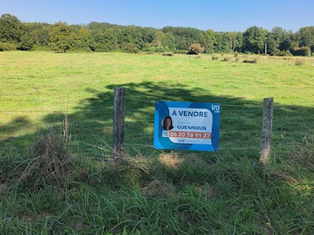Vente Terrain 3268 m2 Soumaintrain