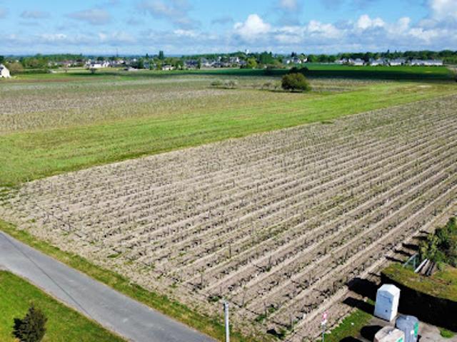Vente Terrain 33000 m2 Savigny en Véron