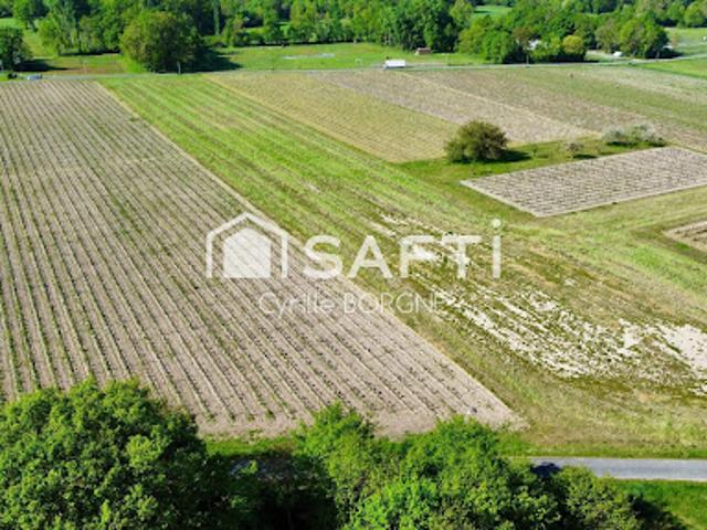 Vente Terrain 33000 m2 Savigny en Véron