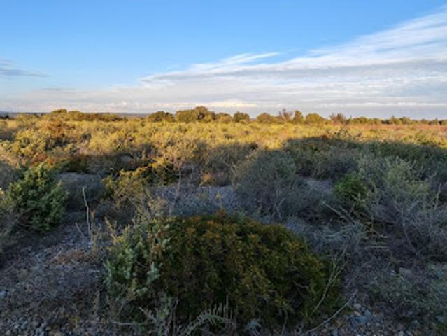 Vente Terrain 3300 m2 La Palme