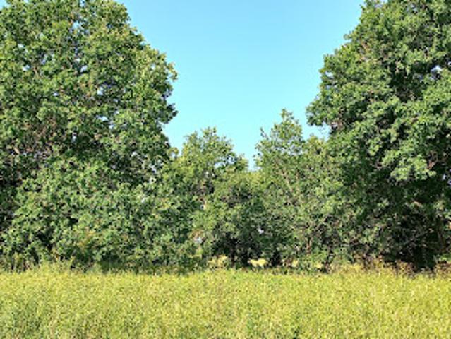 Vente Terrain 3300 m2 Montpon Ménestérol