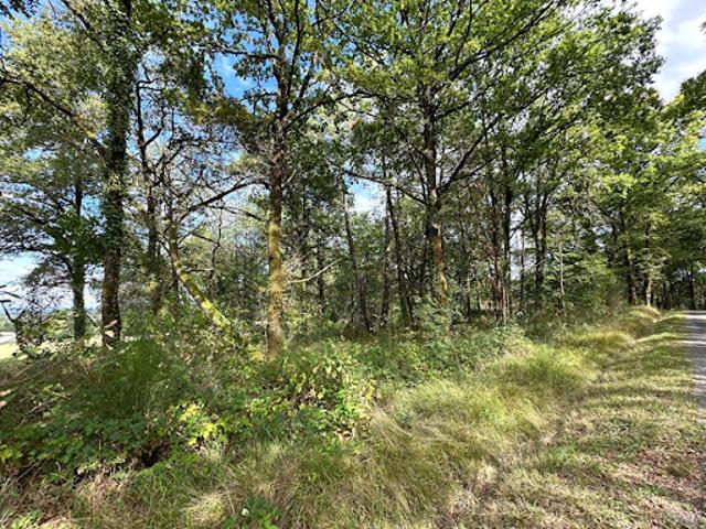 Vente Terrain 3300 m2 Saint Martin de Fressengeas