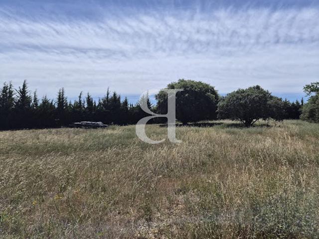 Vente Terrain 3300 m2 Sainte Cécile les Vignes