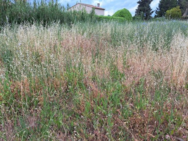 Vente Terrain 330 m2 Lambesc