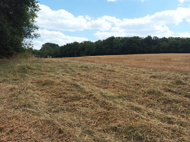 Vente Terrain 3340 m2 Douchapt