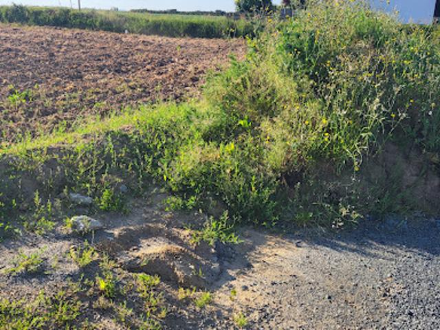 Vente Terrain 335 m2 Plouénan