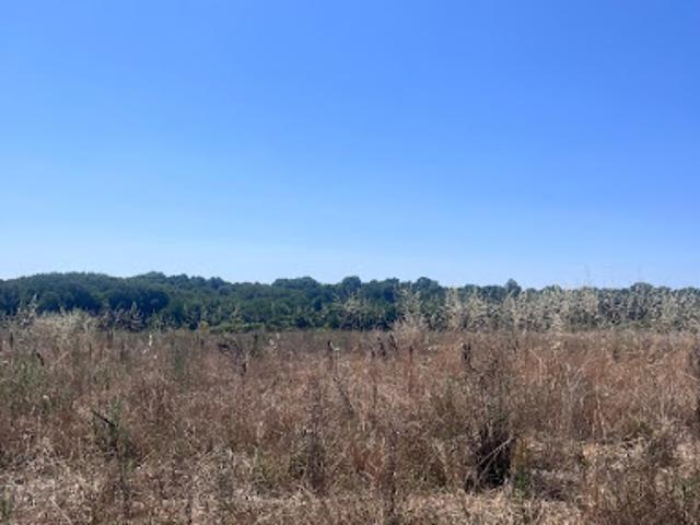 Vente Terrain 338 m2 Saint Augustin