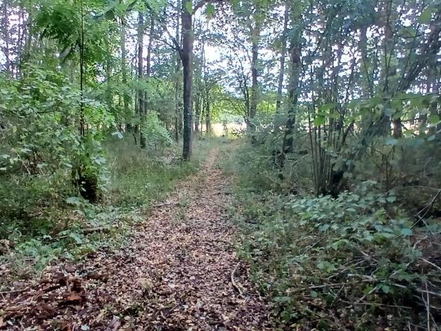 Vente Terrain 3 306 m²