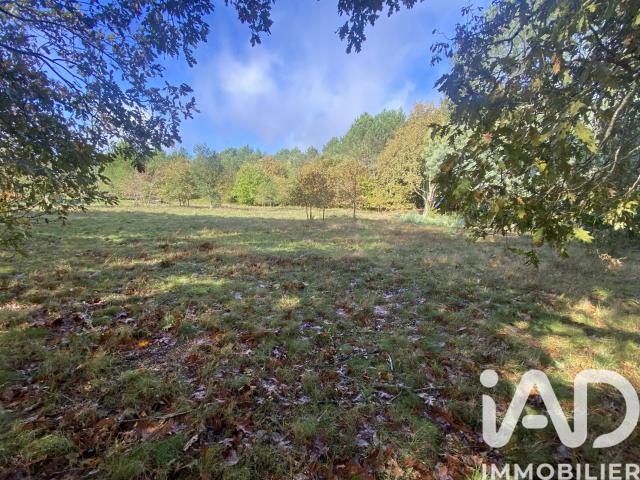 Vente Terrain 3 893 m²
