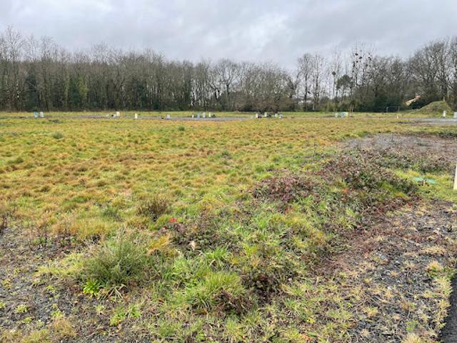 Vente Terrain 443 m2 Saint Aignan Grandlieu