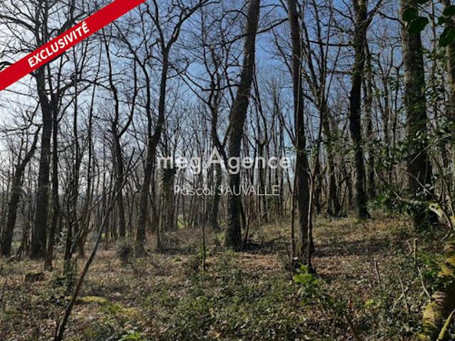 Vente Terrain constructible 4400 m2 Chancelade