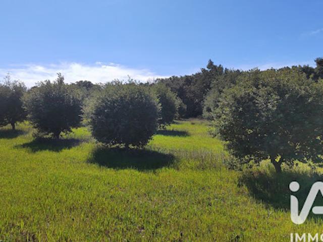 Vente Terrain 4400 m2 Travaillan