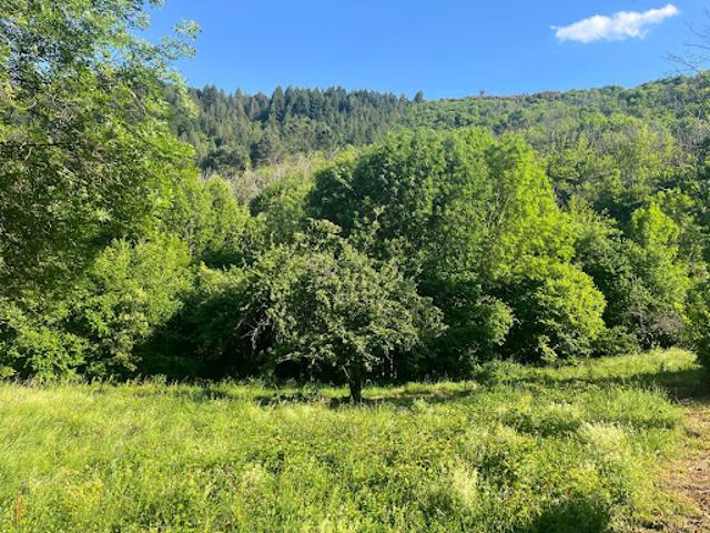 Vente Terrain 4402 m2 Saumane