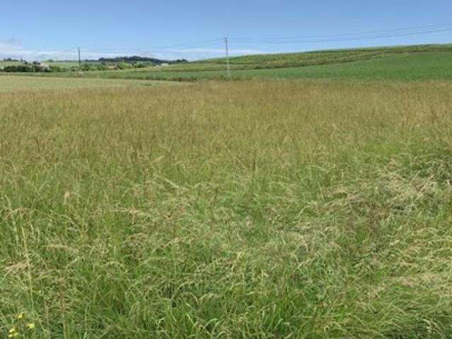 Vente Terrain 440 m2 Arc sur Tille