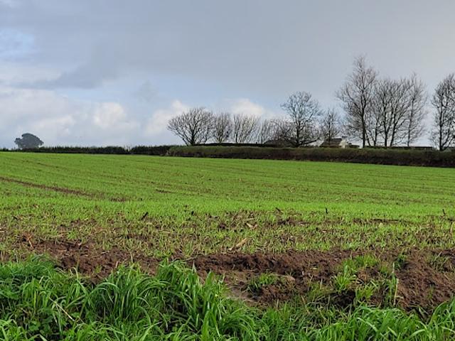 Vente Terrain 440 m2 Plouguerneau