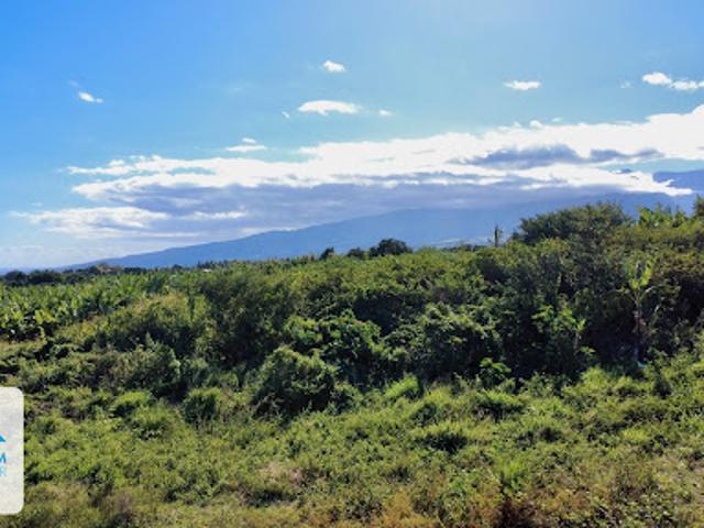 Vente Terrain 440 m2 Saint Pierre