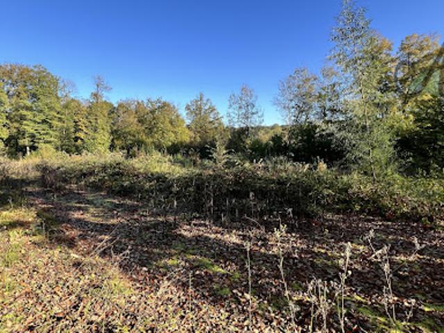 Vente Terrain 0 m2 Chéroy
