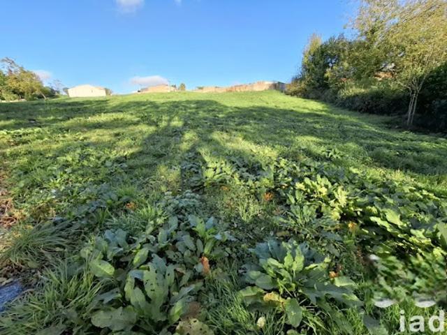 Vente Terrain 441 m2 Aubigny