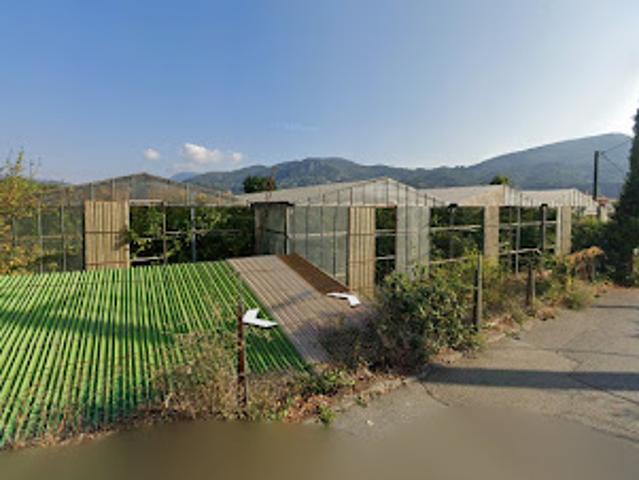 Vente Terrain 441 m2 Carros