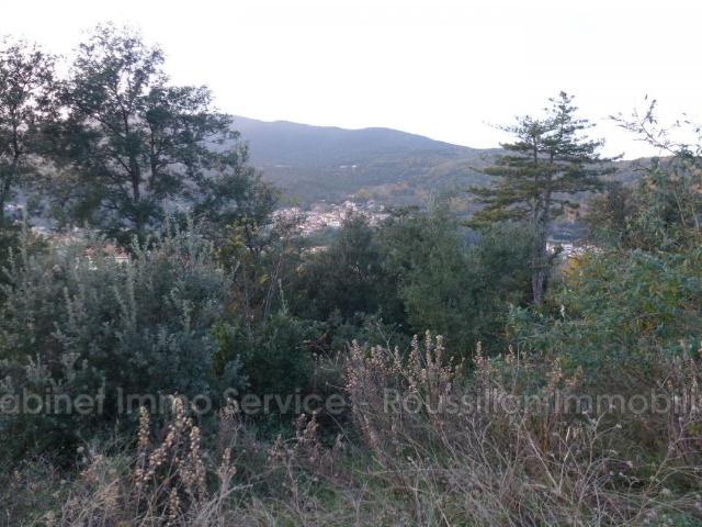 vente terrain