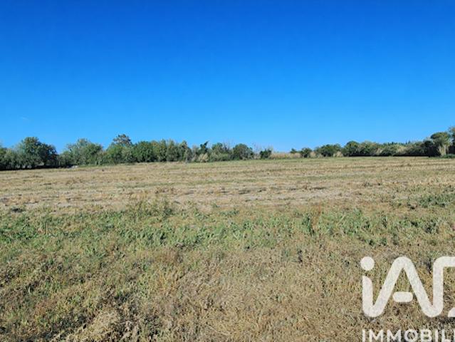 Vente Terrain 44312 m2 Pézilla la Rivière