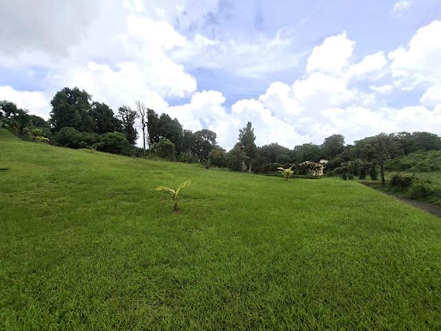 Vente Terrain 4435 m2 Gros morne