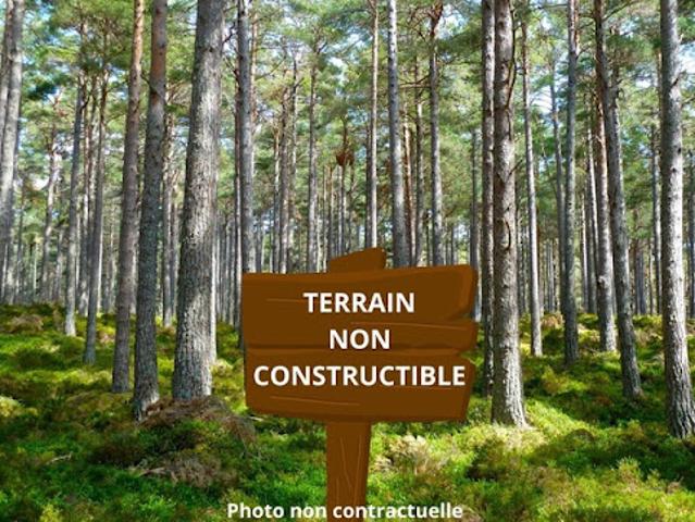 Vente Terrain 4440 m2 Reignac