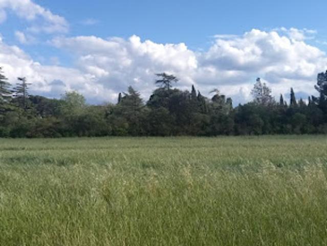 Vente Terrain 444 m2 Cruscades