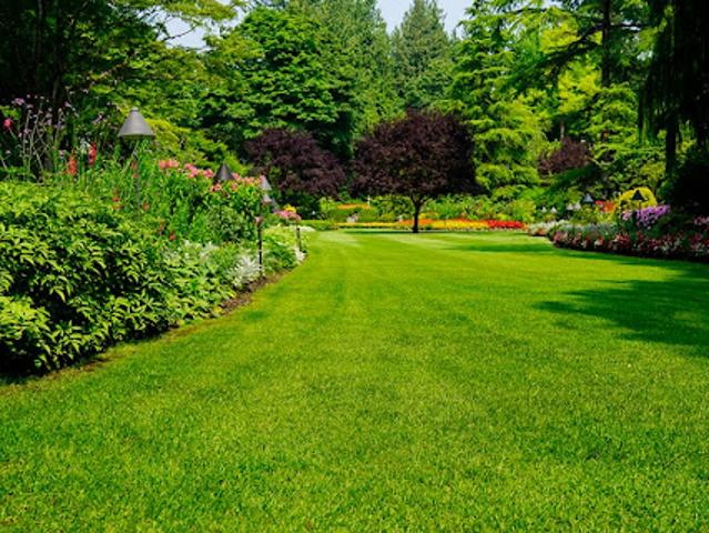 Vente Terrain 445 m2 La Chapelle la Reine