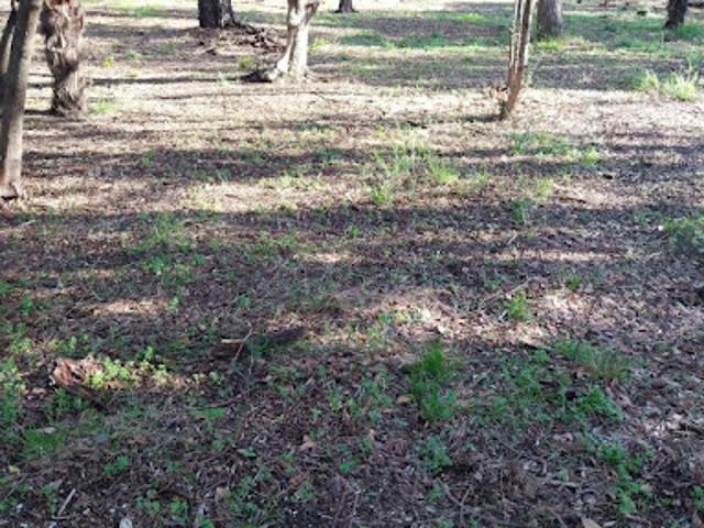 Vente Terrain 449 m2 Ouveillan