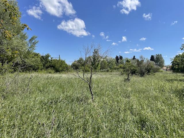 Vente Terrain 449 m2 Sénas