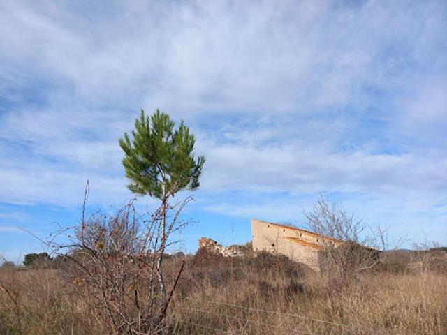 Vente Terrain 45000 m2 Caux