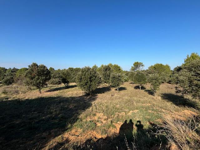 Vente Terrain 4500 m2 Cabrieres