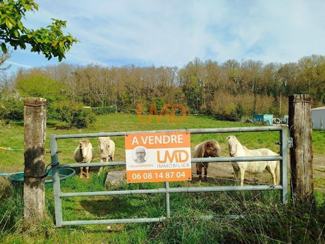 Vente Terrain 4500 m2 Le Blanc