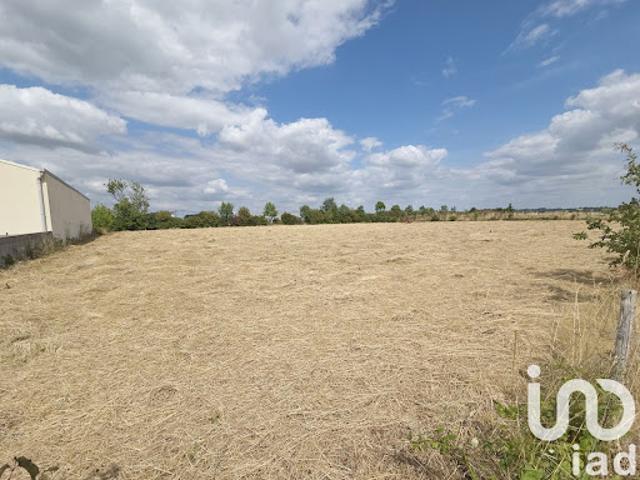Vente Terrain 4500 m2 Montournais