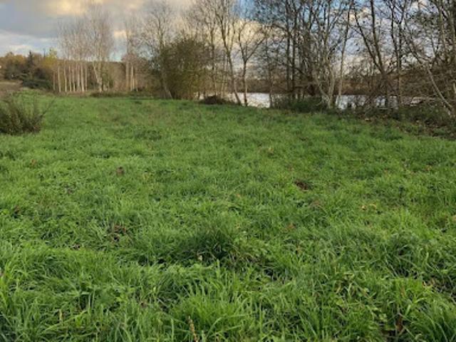 Vente Terrain 450 m2 Chauvigny