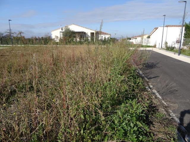 Vente Terrain 450 m2 Grisolles