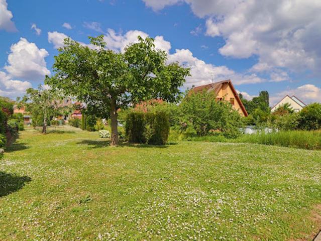 Vente Terrain 450 m2 Hattstatt
