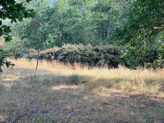 Vente Terrain 450 m2 Le Taillan Médoc
