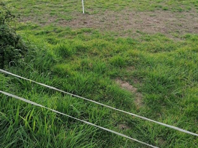 Vente Terrain 450 m2 Merlevenez
