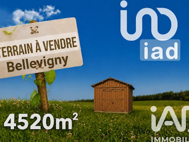 Vente Terrain 4520 m2 Bellevigny