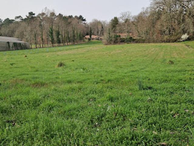 Vente Terrain 4525 m2 Beauronne