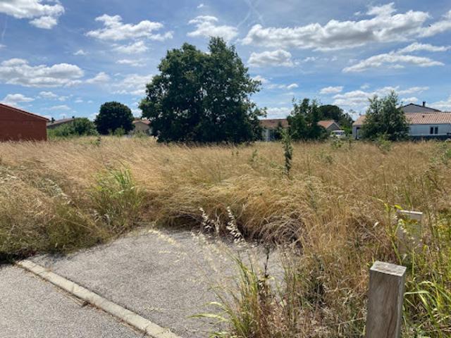 Vente Terrain 457 m2 Dieupentale
