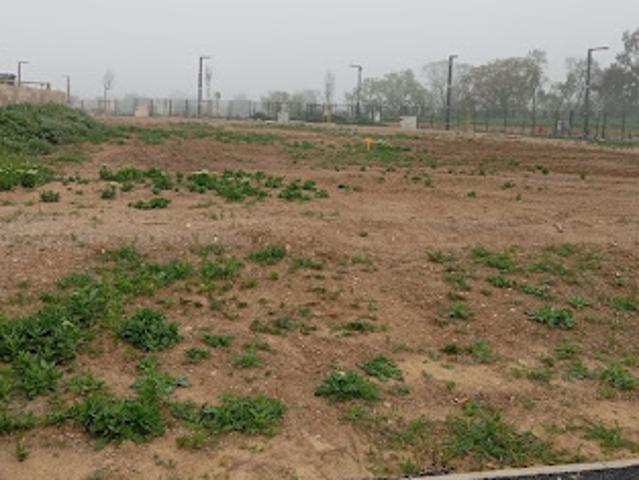 Vente Terrain 457 m2 Pouzolles