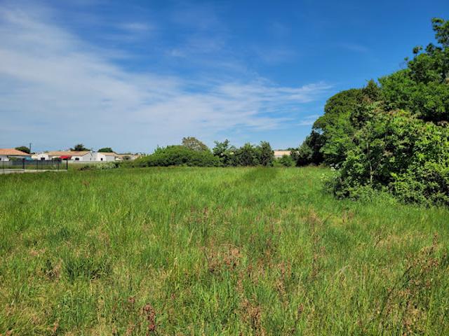 Vente Terrain 454 m2 Arvert